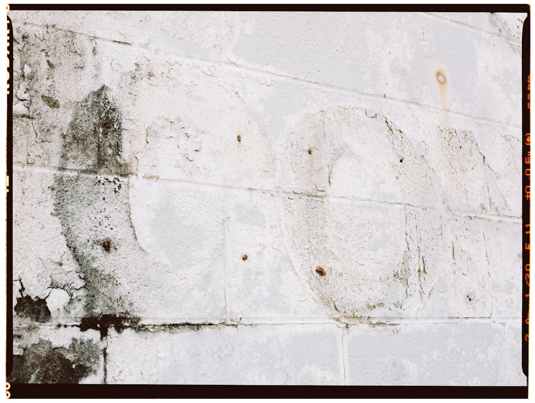 Water Extraction service in Mentor, OH